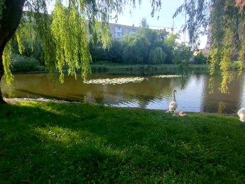 квартира по адресу Мира просп., 24