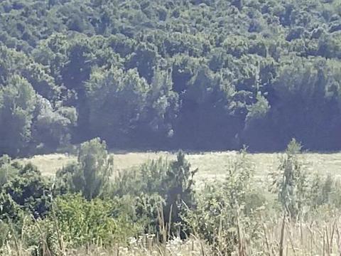 участок по адресу Щорса