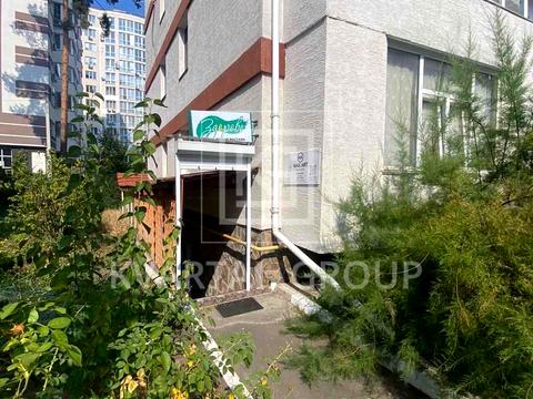 комерційна за адресою Українська вул., 2-Ю