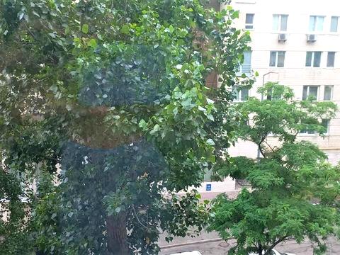 квартира за адресою Печенізька вул., 8