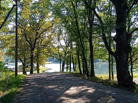 дом по адресу Дачний масив