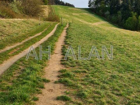 будинок за адресою Ватутіна пров.