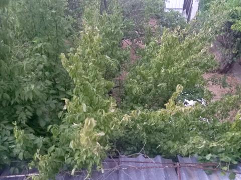 будинок за адресою Аврори, 10