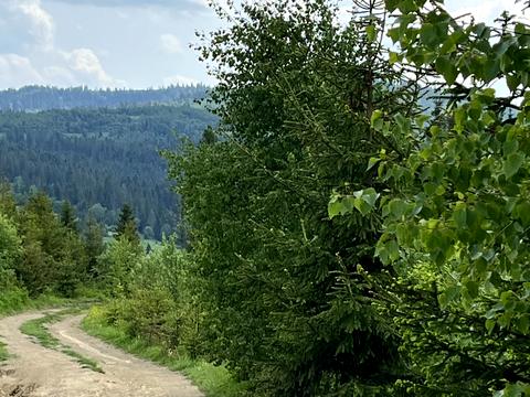 участок по адресу с. Волосянка, 