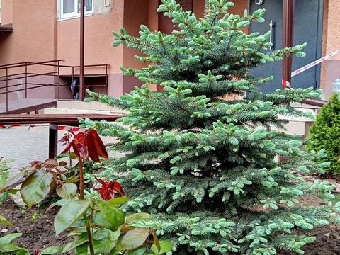 квартира за адресою Владислава Бувалкіна вул. (Бочарова Генерала), 75