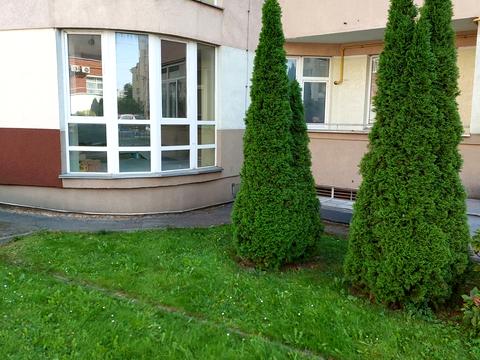 квартира за адресою В'ячеслава Чорновола просп. (), 67в