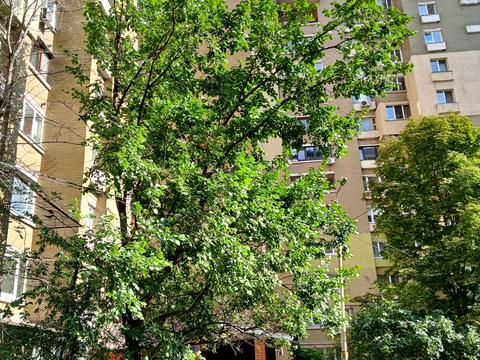 квартира за адресою Антоновича вул. (Горького), 94-96
