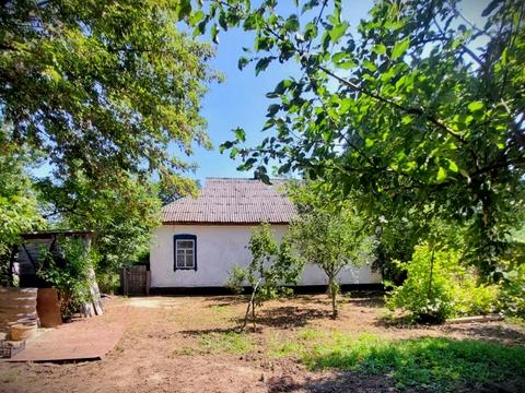 дом по адресу Панаса Мирного