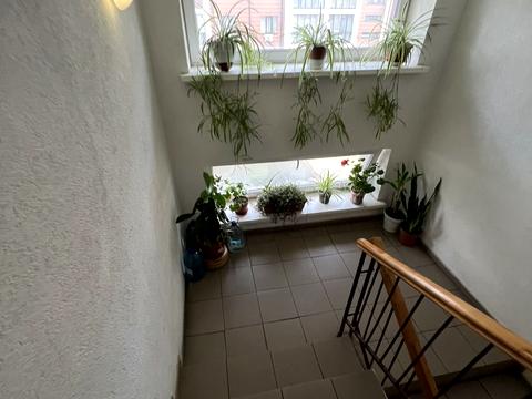 квартира за адресою Софіївський пров., 26