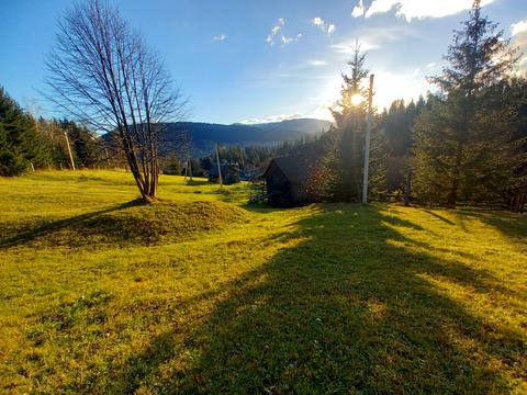 участок по адресу пгт. Верховина, вул. Невестюка