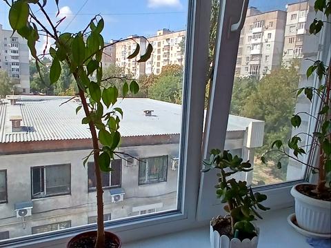 квартира по адресу Островская ул., 2