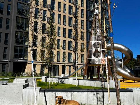 квартира за адресою Миру просп., 96