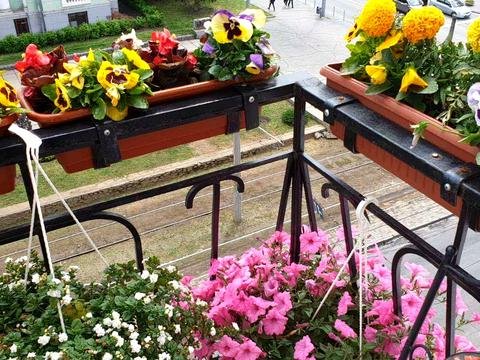 квартира по адресу Дмитрия Яворницкого просп. (Карла Маркса), 20