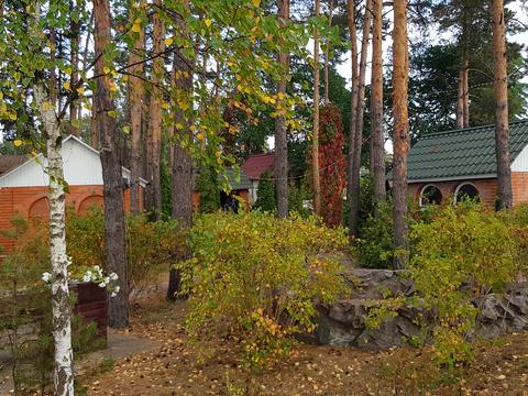 коммерческая по адресу Боровкова ул., 63Б