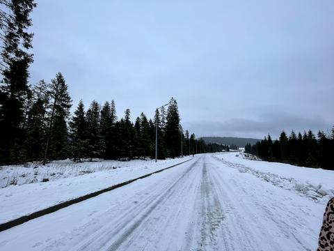 ділянка за адресою с. Сянки, 
