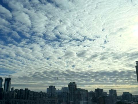 квартира по адресу Антоновича ул. (Горького), (Будинок)