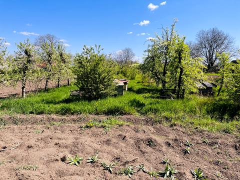 участок по адресу Емінеску, 5