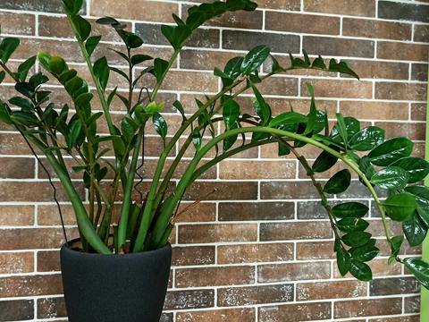 квартира по адресу Берестейский просп. (Победы), 67-Б