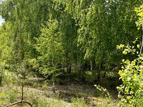 ділянка за адресою с. Блиставиця, 