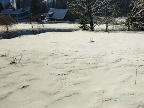 участок по адресу Тараса Шевченка ул.