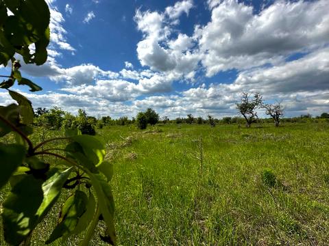 участок по адресу 