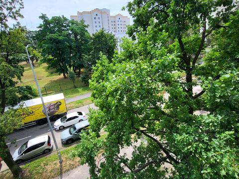 квартира за адресою Василя Іваниса вул. (Миколи Матеюка), 5