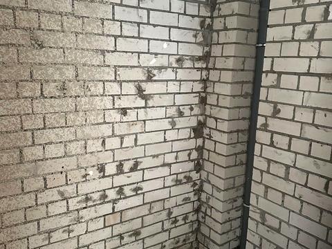 квартира по адресу 8 Березня ул., 23