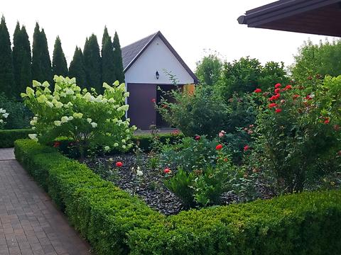 дом по адресу Бакумівка