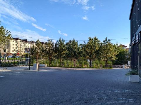 комерційна за адресою Рівне, Пасхальна, 28