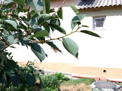 будинок за адресою Школьная, 7а