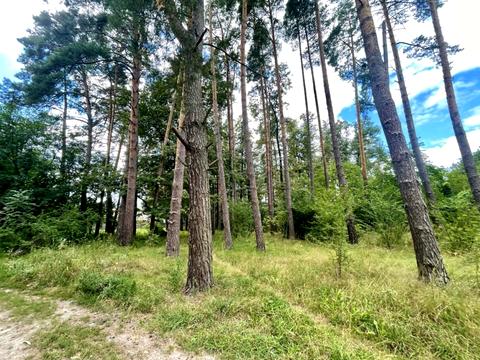 дом по адресу пгт. Ворзель, Лісова ул., 44