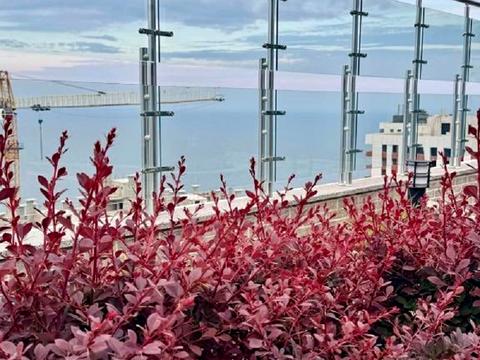 квартира по адресу Курортный пер., 2/2