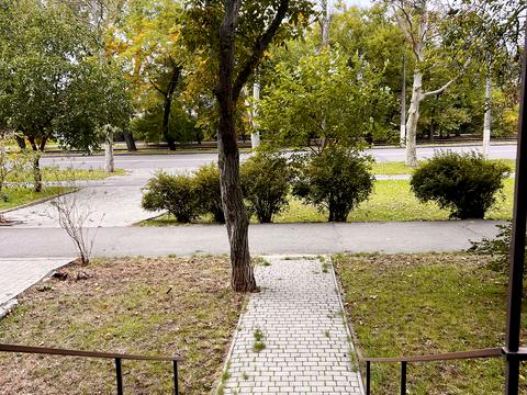 комерційна за адресою Князя Володимира Великого просп., 70