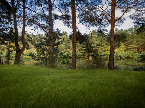 будинок за адресою с. Лебедівка, вул. Центральна