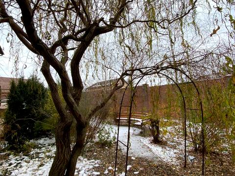 будинок за адресою с. Михайлівка, Сонячна