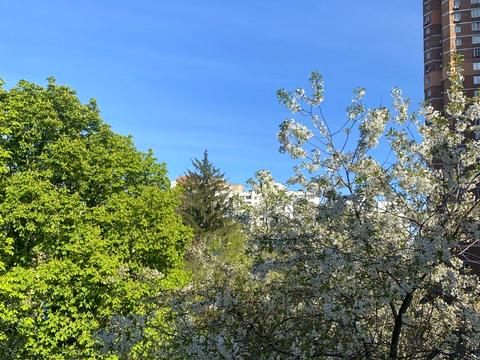 квартира за адресою Солом'янська вул., 38