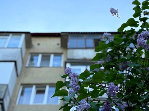 квартира за адресою Сухомлинського вул., 6/2