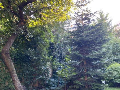 будинок за адресою Фонтанська дорога вул. (Перекопской дивизии улица), 76