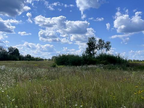 участок по адресу Чернинская ул.