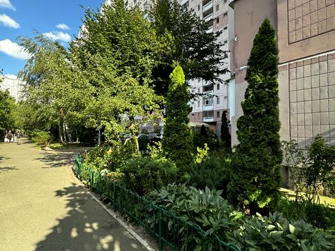 квартира за адресою Олени Пчілки вул., 4