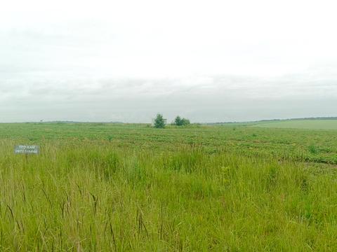 ділянка за адресою с. Лісові Гринівці, 