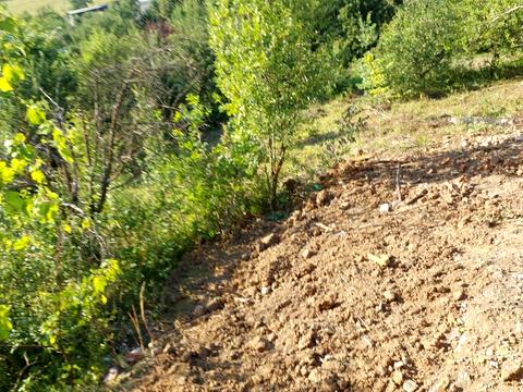 ділянка за адресою Ярослава мудрого, 37