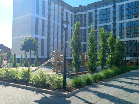 квартира за адресою Виноградна вул., 9