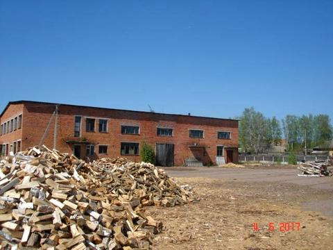 комерційна за адресою Репки, 3