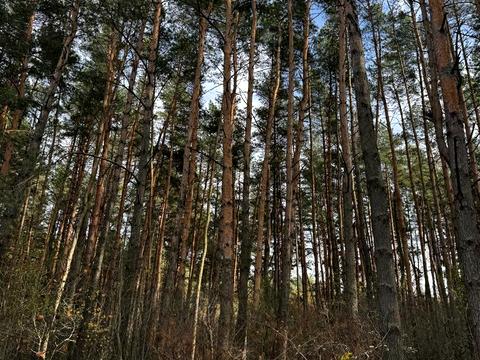 будинок за адресою Обїзна Львова