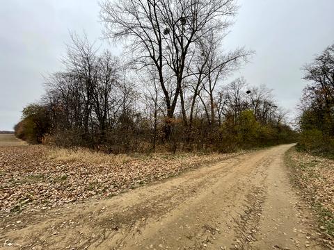 ділянка за адресою с. Іванівка, 