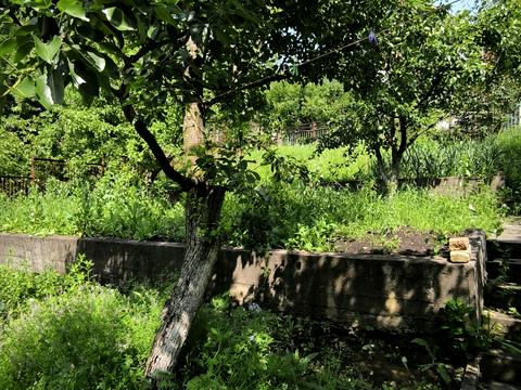 будинок за адресою Лісова