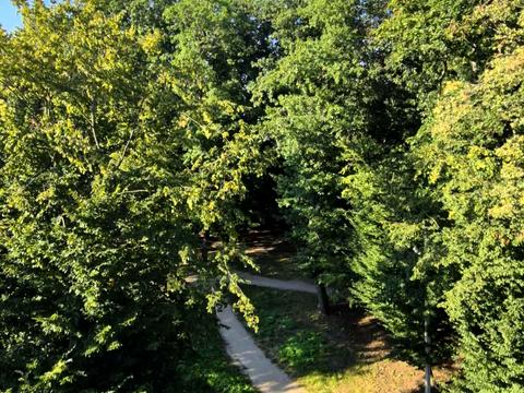 квартира за адресою Шептицького, 1д