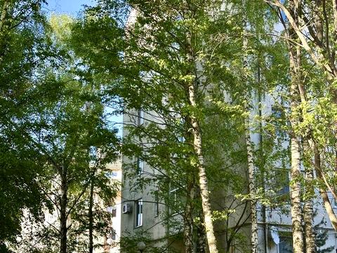 квартира за адресою Олеся О., 25Д