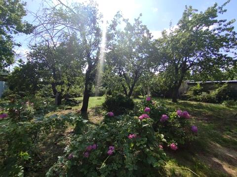 ділянка за адресою 